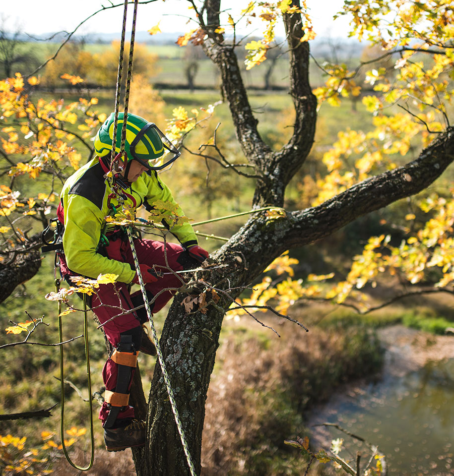spécialiste des travaux forestiers près de Lauris