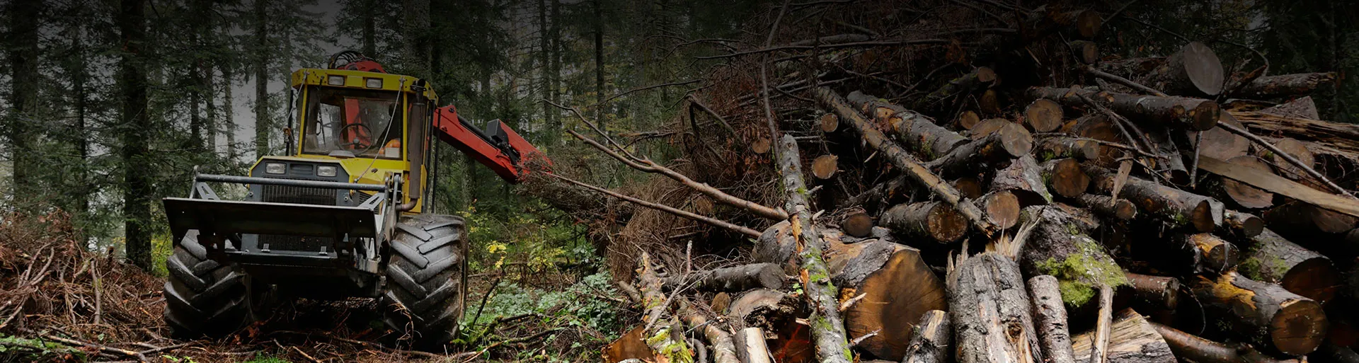 Entreprise de travaux forestier dans le Vaucluse (84)