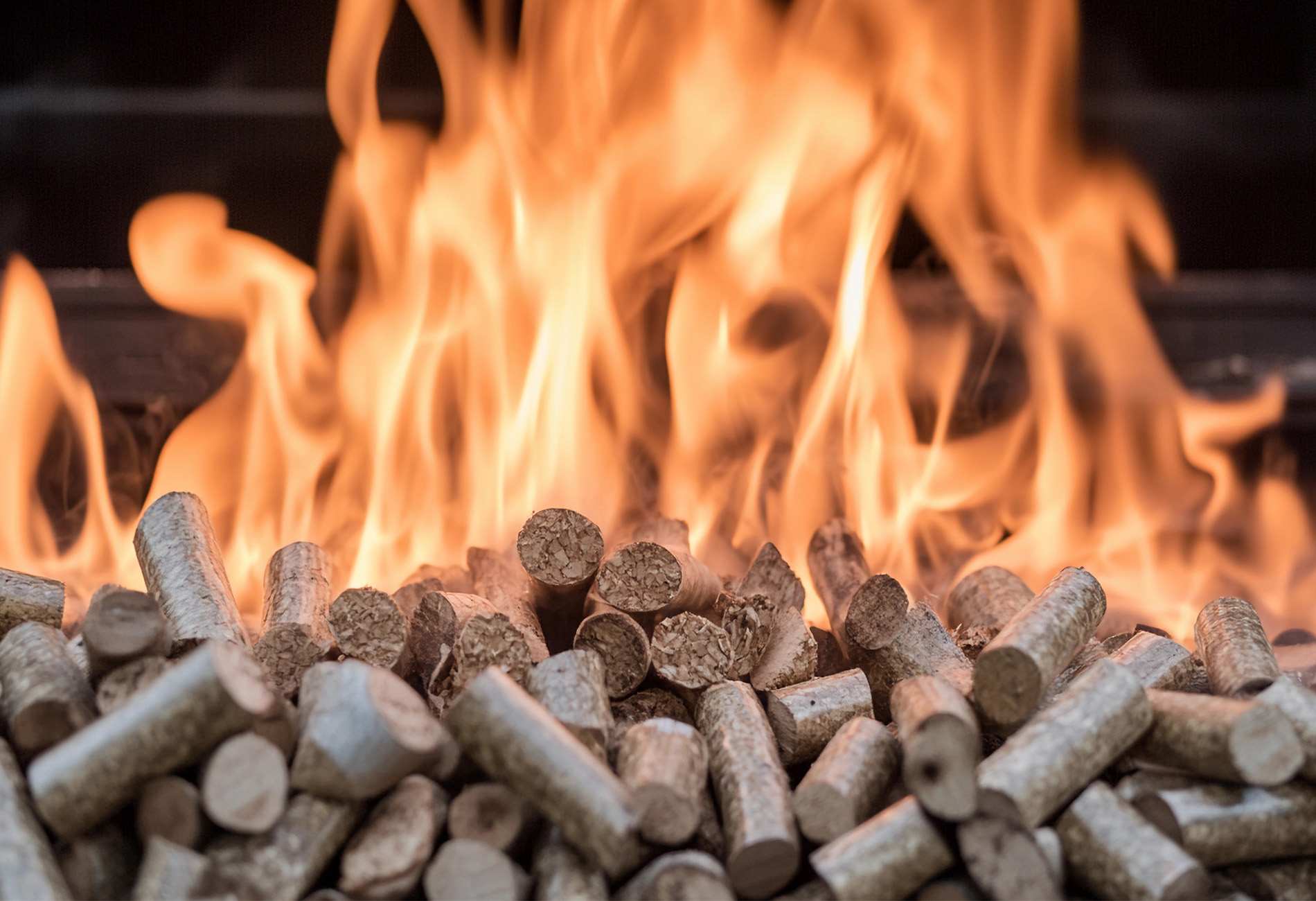Vente de bois de chauffage sec dans tout le Vaucluse