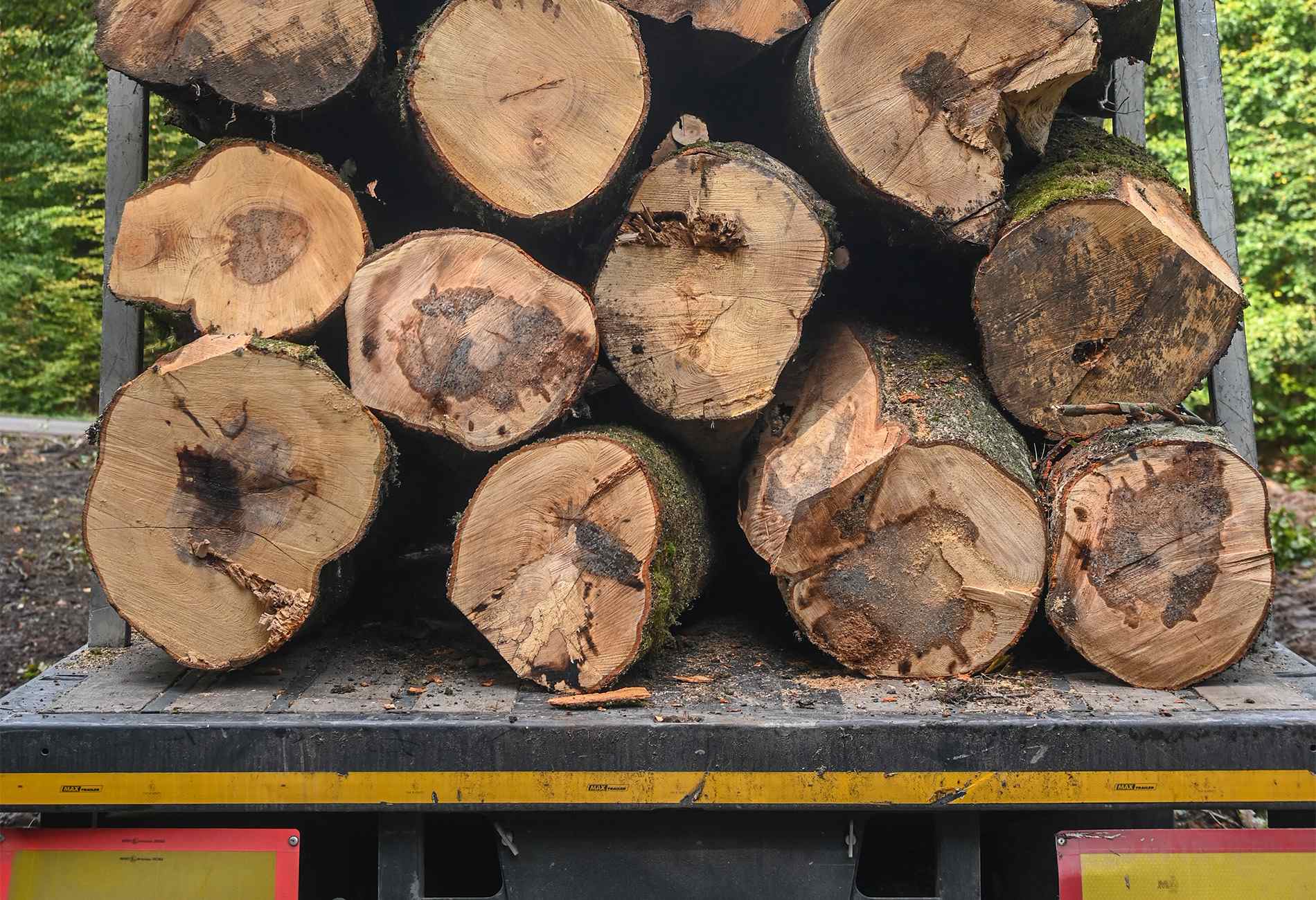 Vente de bois de chauffage sec dans tout le Vaucluse